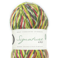 Multicolored yarn ball with West Yorkshire Spinners label on a white background