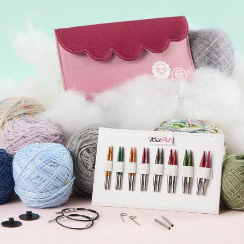 Knitting needles set with yarn and pink case on a light background