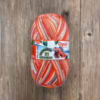 Ball of multicoloured yarn with Opal label on a wooden surface