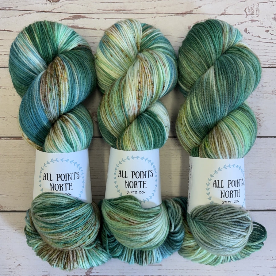 All Points North Posh Sock Asparagus