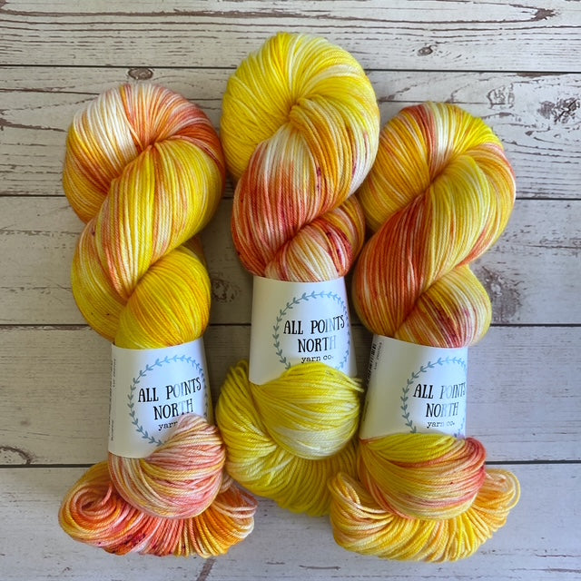 Three skeins of yellow and orange yarn with All Points North labels on a white wood background